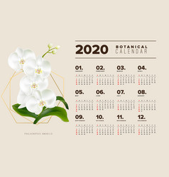 Botanical Calendar 2020 White Moon Orchid