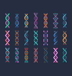 Dna Pictogram Symbols Gene Shapes Biological