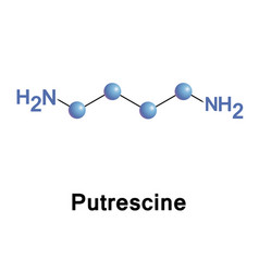 Putrescine Or Tetramethylenediamine