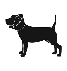 Dog With Elizabethan Collar Icon In Black Style