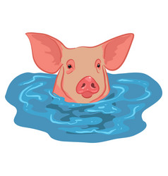 Pig Cartoon Character Swimming Stock