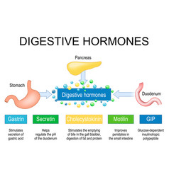 Digestive Hormones Gastrin Cholecystokinin