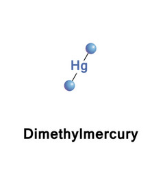 Dimethylmercury Organomercury Neurotoxin