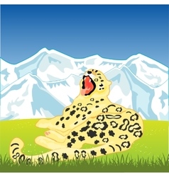 Snow Leopard On Nature