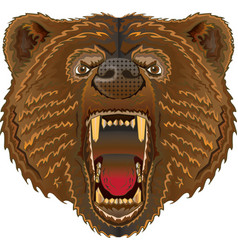 Bear Snarling