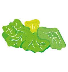 Isolated Colored Lettuce Sketch Icon