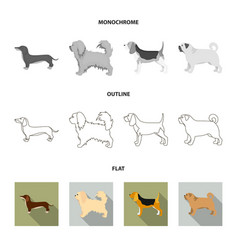 Pikinise Dachshund Pug Peggy Dog Breeds Set