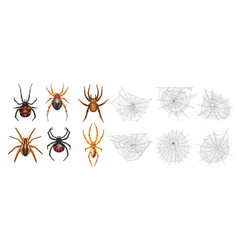 Realistic Spider Web Icon Set