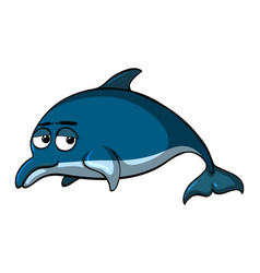 Dolphin With Sad Face