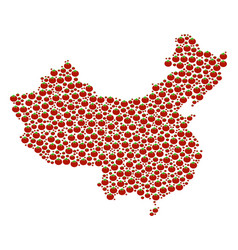 China Map Collage Of Tomato