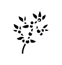 Huckleberry Bilbery Plant Glyph Icon