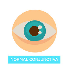 Normal Conjunctiva Healthy Eye Pupil And Iris