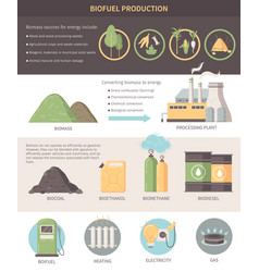 Biofuel Production Infographics Layout