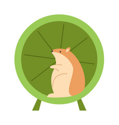 Hamster In Running Wheel