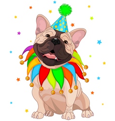 French Bulldog Birthday