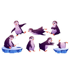 Cute Penguin Cartoon Character Isolated Animal Set