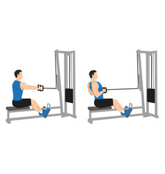 Man Doing Seated Low Cable Back Rows Exercise