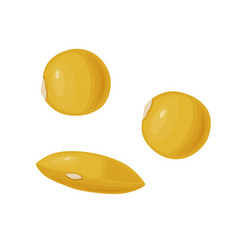 Yellow Lentil Beans Icon