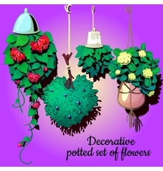 Set Of Suspended Ornamental Plants Flowers