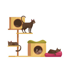 Cat Tree Icon