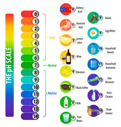 Chart ph alkaline and acidic scale Royalty Free Vector Image