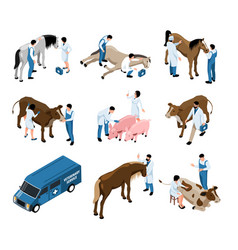 Farm Veterinary Isometric Set