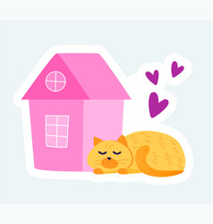 Cute Cat Sleeps Near Lovely Pink House Cozy Home