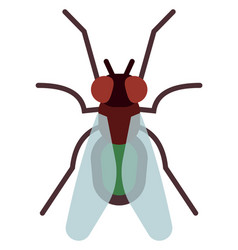 Fly Insect Icon Color Pest Flying