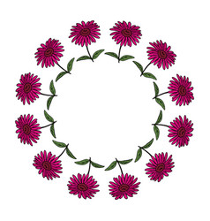 Round Frame With Pink Echinacea On White