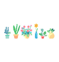 Botanical Set Of Spring Indoor Plants Flowers And