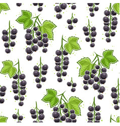 Black Currant Branches