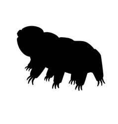 Tardigrades Is A Silhouette Picture For A L