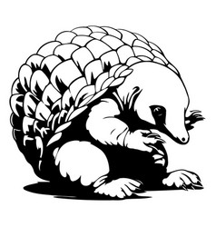 Image Of An Armadillo Of An Armadillo