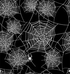 Spider web background Royalty Free Vector Image