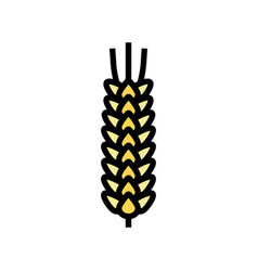 Ear Barley Cereal Color Icon