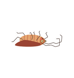 Dead Cockroach Lying On Its Back Cartoon Flat