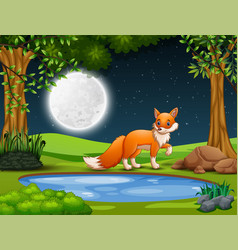 A Fox Looking For Prey At Night