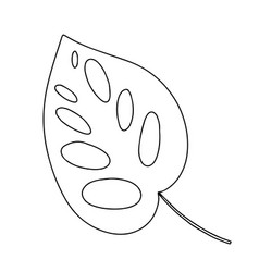 Monstera Leaf Doodle Sketch