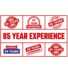 85 Years Experience Rubber Stamp Set