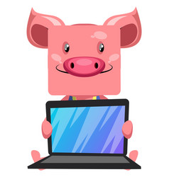 Pig With Lap Top On White Background