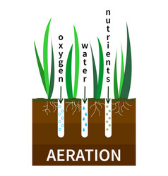 Lawn Aeration Process Concept