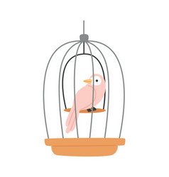 Bird In Cage