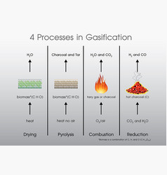 4 Processes In Gasification