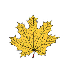 A Fallen Leaf Of Maple Tree Cartoon Style