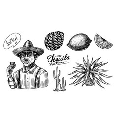 Agave Fruits Lemon And Cactus Farmer In A Hat