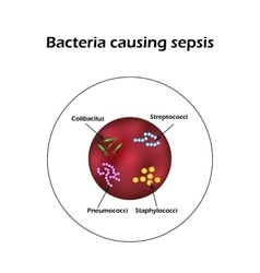 Sepsis Blood Poisoning E Coli Streptococci