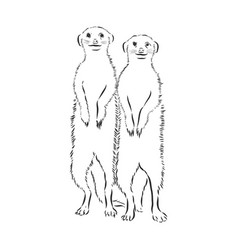 Meerkat Icon Animal Sign Animal Sketch