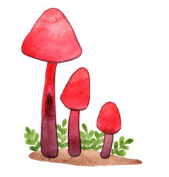 Fantasy Red Mushroom With Fern Watercolor