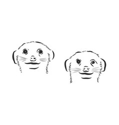 Meerkat Icon Animal Sign Animal Sketch