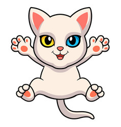 Cute Khao Manee Cat Cartoon